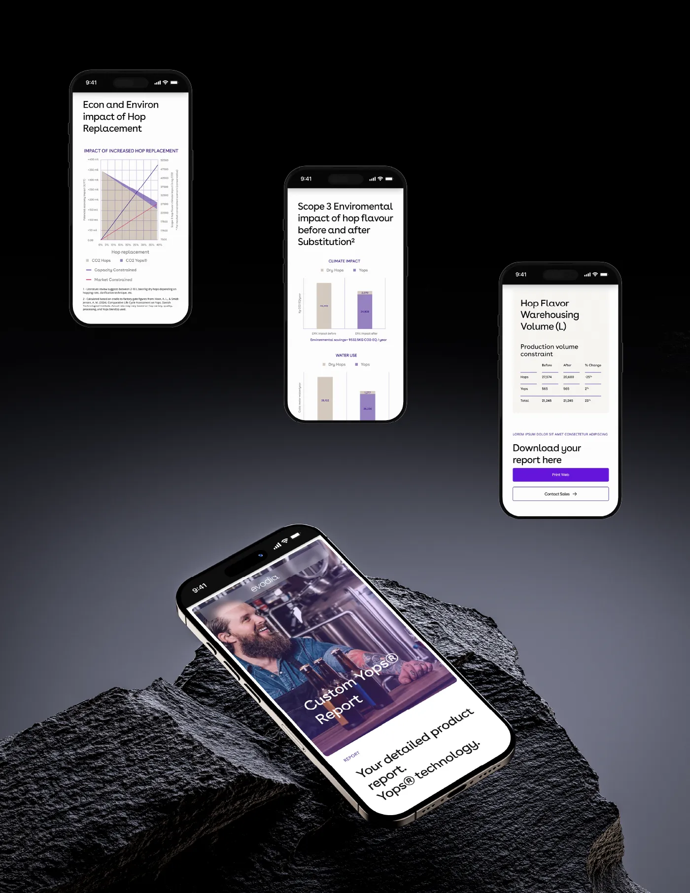 The report on mobile: economic and environmental charts, warehousing volume and the download button